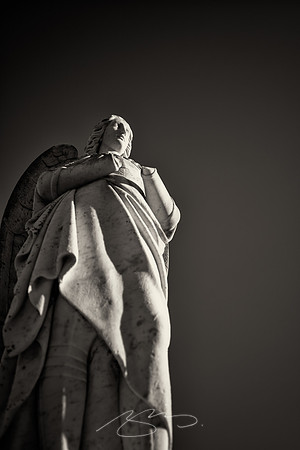 Rose-Hill_1-18-21-4