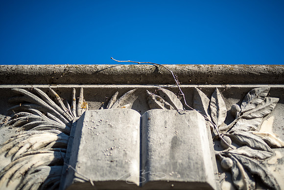 Rose-Hill_1-18-21-9