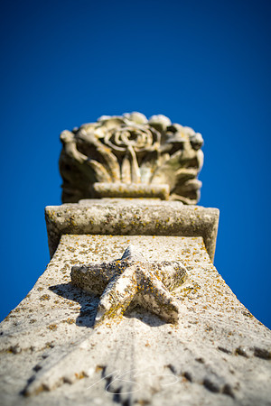 Rose-Hill_1-18-21-10