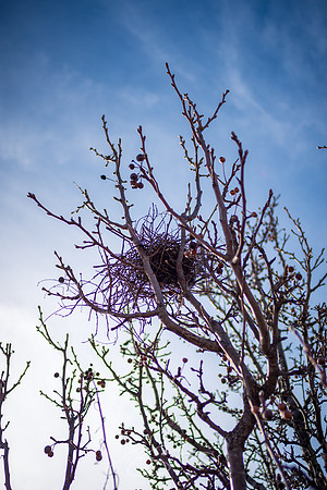 Downtown_Jan-21-22