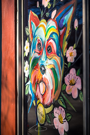 Macon-Downtown_Feb-7-21-28