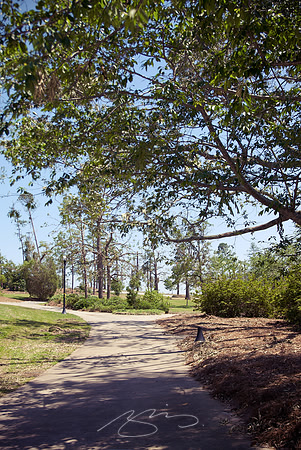 (Former) MSC Botanical Garden