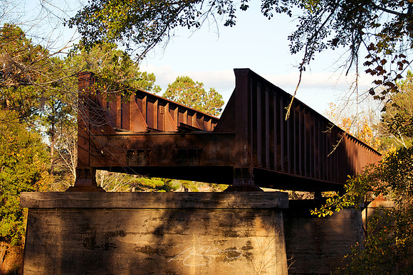 Flint Railroad Bridge #1