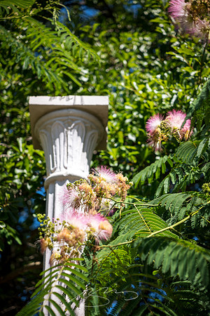 Macon - May 2022 - 29 - Column and Trees #2, Capricorn Park, Macon
