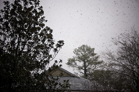 Roofline and Trees (in Snow)