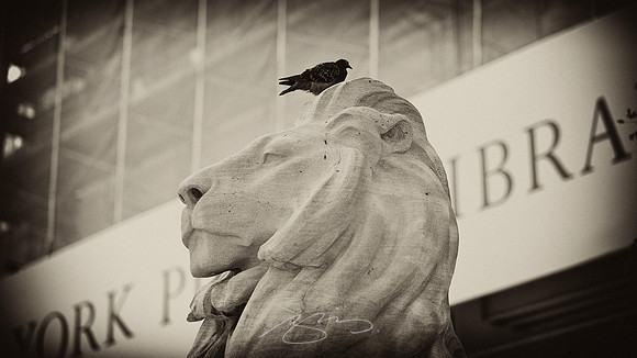 Lion, Dominated