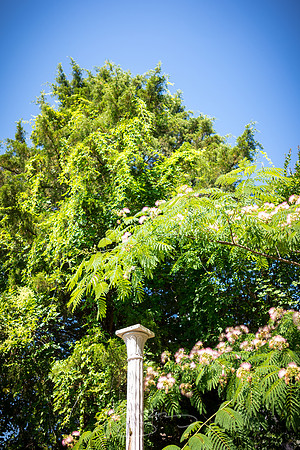 Macon - May 2022 - 28 - Column and Trees #1, Capricorn Park, Macon