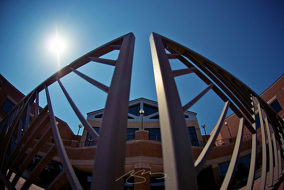 (Perspective on) the MSC Student Center