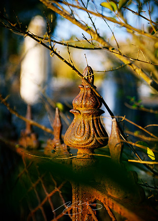 Cemetery Fence (Detail)