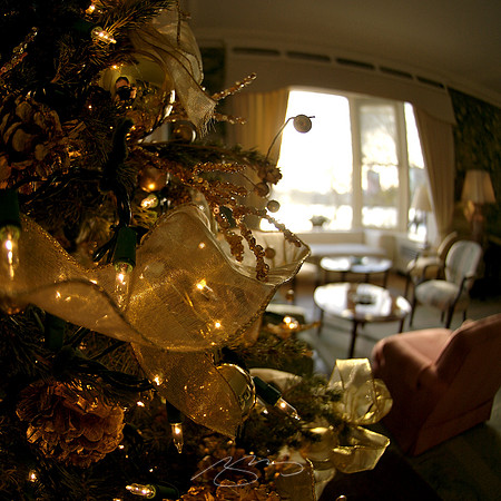 Decorated Tree, River Club