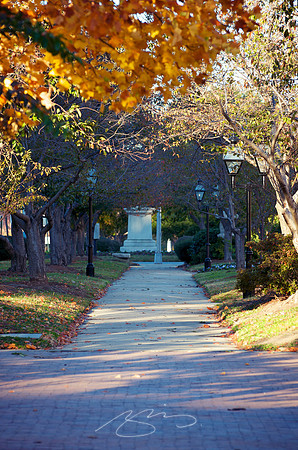 Cherry Tree Plaza (in Fall)