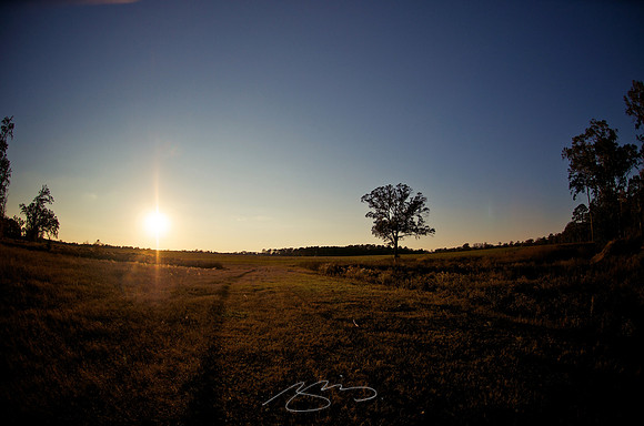 Georgia Farm Country (at Sunset)