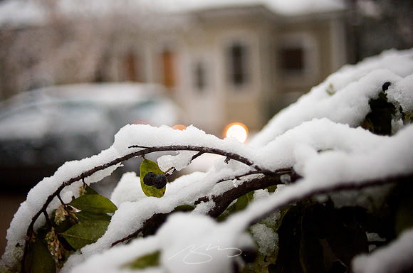 Snowy Dusk