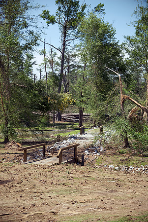 MSC's "Back Forty," Destroyed