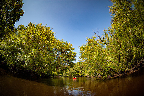 Edisto-River-14