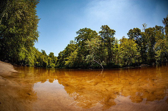 Edisto-River-20