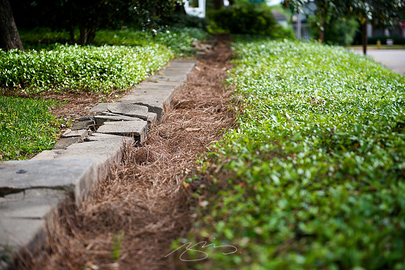 Garden Tour - 964 Park - 17