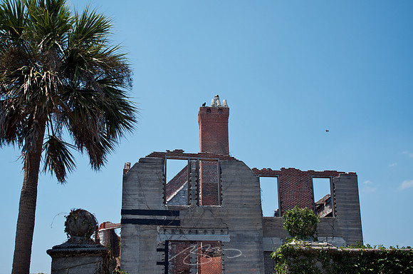 Cumberland Island - Dungeness Ruins 3
