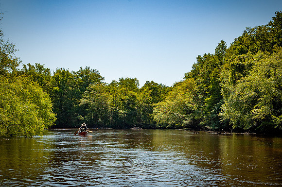 Edisto-River-37