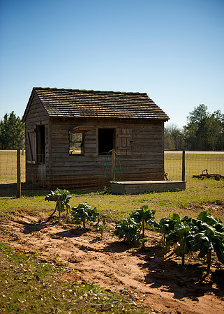 Plains   President Carter - 37