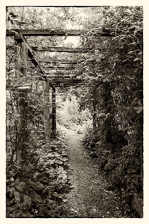 Cambridge-42