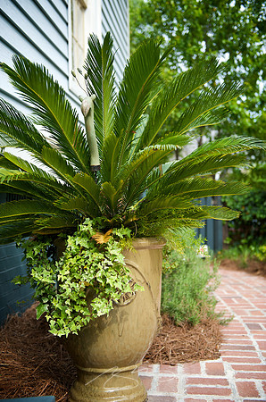 Garden Tour - 964 Park - 9