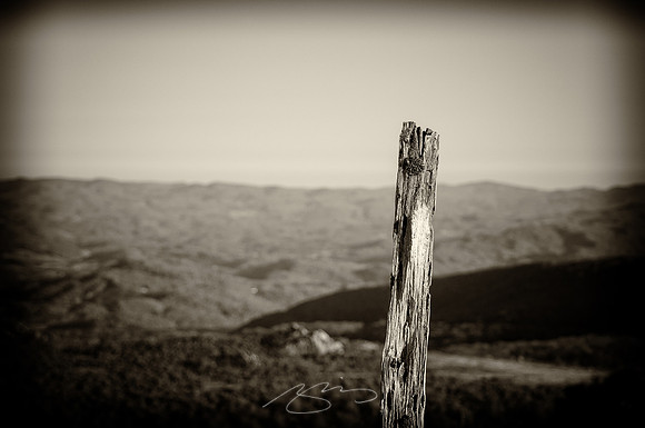 virginia-at-hike-4