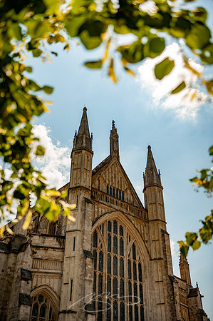 Winchester-5