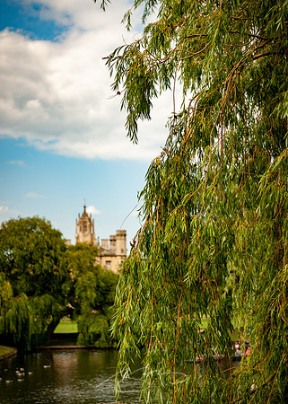 Cambridge-78