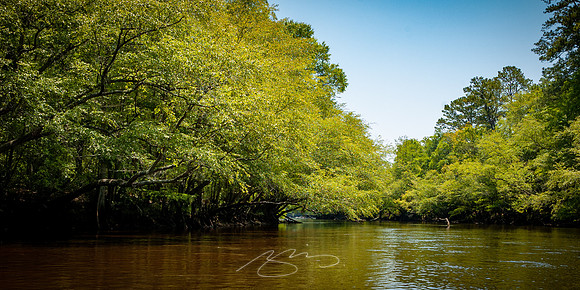 Edisto-River-47