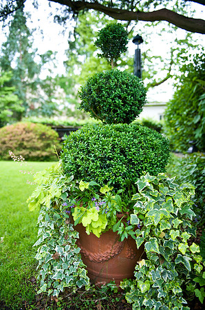 Garden Tour - 607 College - 43