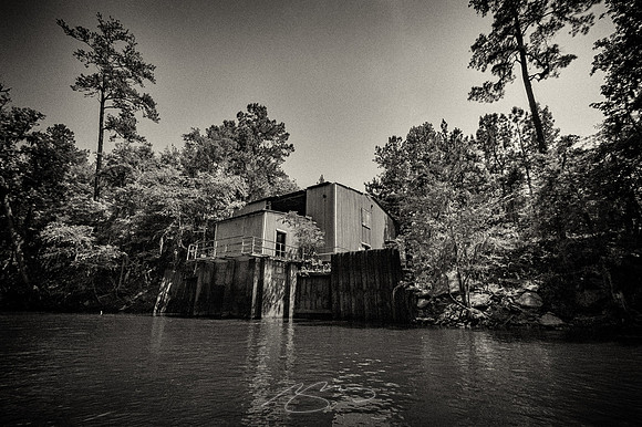 Edisto-River-57