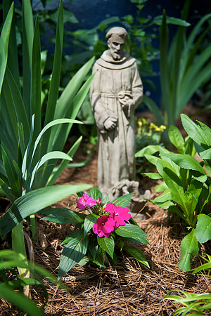 Garden Tour - 468 Orange - 11