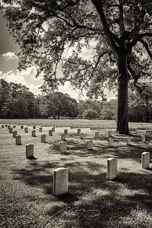 2022 - Andersonville - 1 - WWII Graves (Union POW Graves, Civil War, Background)