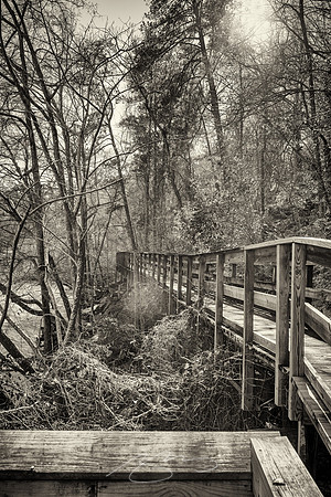 Jackson_feb22-5