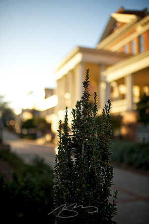 Milledgeville - 2011 - GC Landscaping, Not Branded