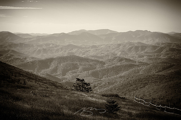 virginia-at-hike-8