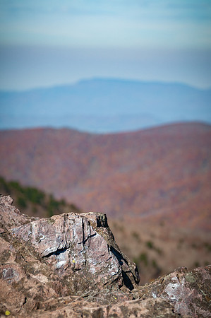 virginia-at-hike-20