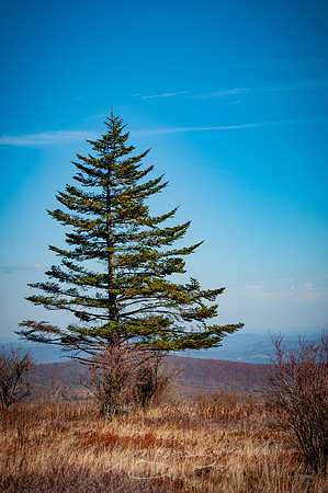 virginia-at-hike-28
