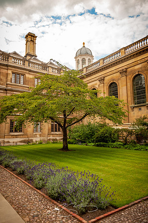 Cambridge-69