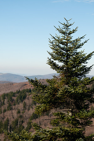 virginia-at-hike-9