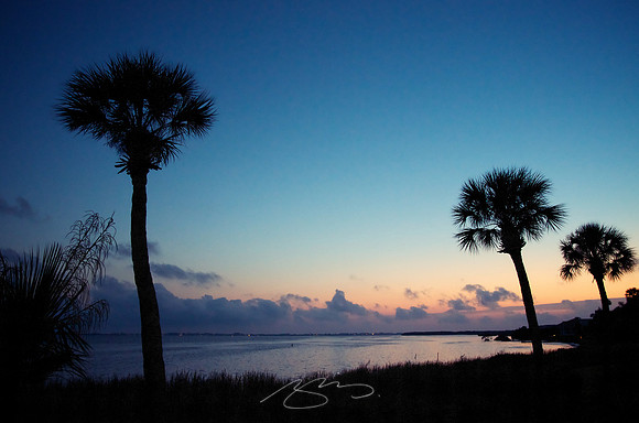 Sunset with Three Palms