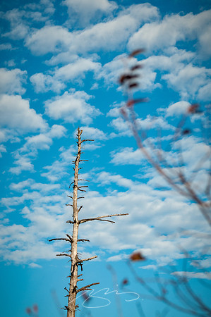 virginia-at-hike-11