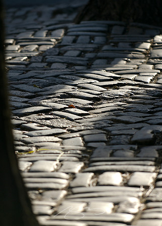 Herringbone (Fifth Ave)