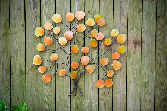 Garden Tour - 468 Orange - 8