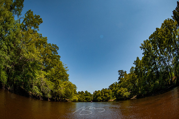 Edisto-River-55