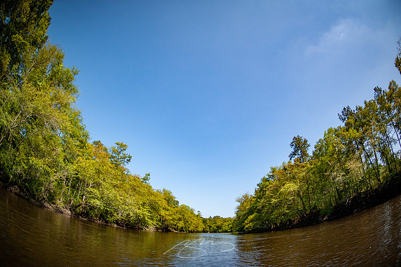 Edisto-River-30
