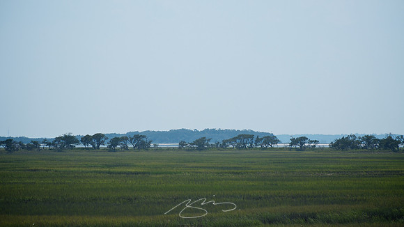 Cumberland Island - South Marsh