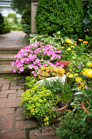 Garden Tour - 607 College - 33