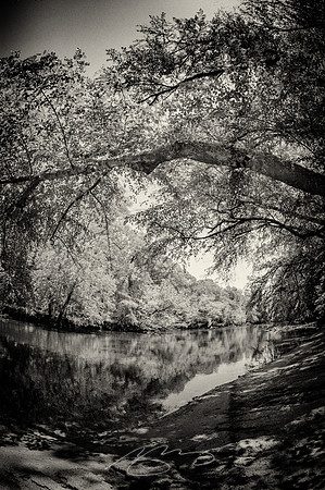 Edisto-River-26